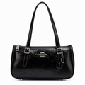 Asher Glazed Leather Shoulder Bag